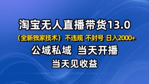 淘宝无人直播13.0,公域私域技术,不封号,不违规 布局下半年旺季赛道,日入2000+-壹浩聊项目