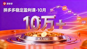 拼多多稳定盈利课-10月,强付费SOP+微付费高投产+活动矩阵,单店月入10万+-壹浩聊项目