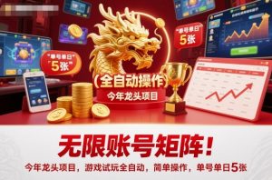 无限账号矩阵！今年龙头项目，游戏试玩全自动，简单操作，单号单日5张【揭秘】-壹浩聊项目