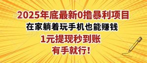 2025年底最新0撸暴利项目,在家也能躺赚,1元秒提现,有手就行!-壹浩聊项目