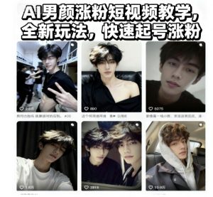 AI男颜涨粉短视频教学，全新玩法，快速起号涨粉-壹浩聊项目