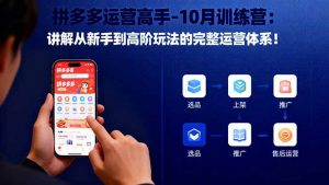 拼多多运营高手-10月训练营：讲解从新手到高阶玩法的完整运营体系！-壹浩聊项目