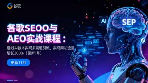 谷歌SEO与AEO实战课程:通过AI技术实现多渠道引流,实现网站流量增长300%-壹浩聊项目