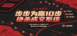 步步为赢10步绝杀成交系统,系统化解决从流量吸引到最终成交的完整链路-壹浩聊项目