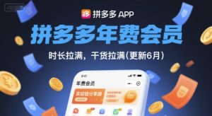 拼多多年费会员，实经验分享操，时长拉满，干货拉满(更新11月)-壹浩聊项目