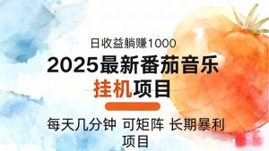 2025年最新番茄音乐人挂机项目，每天几分钟，月入1000＋，可矩阵，一台…-壹浩聊项目