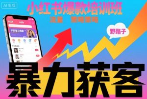 小红书爆款培训班，小红书获客野路子流量打法，暴力持续获客-壹浩聊项目